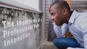 The Importance of a Professional Mold Inspection